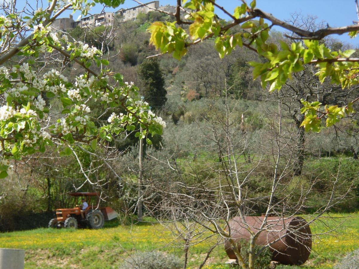 Montanari Agrivillage Narni Buitenkant foto
