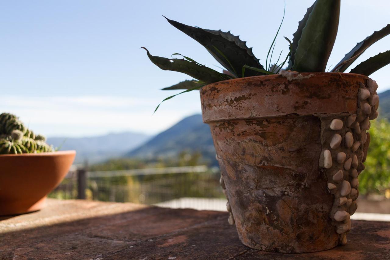 Montanari Agrivillage Narni Buitenkant foto