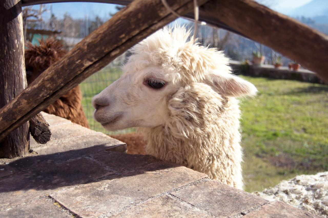 Montanari Agrivillage Narni Buitenkant foto
